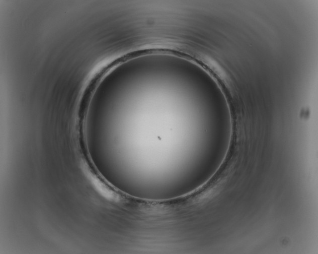 X0000093261072200709261726