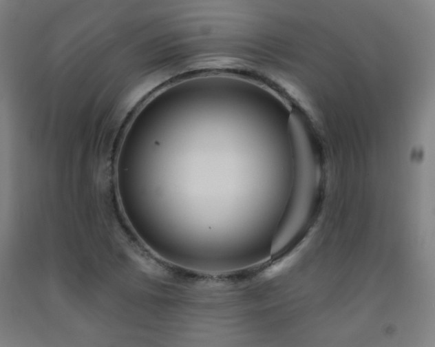 X0000093261073200709261726