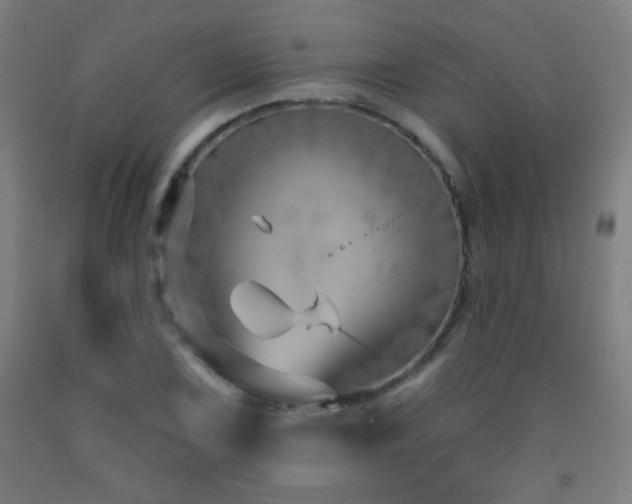 X0000093261075200709261726