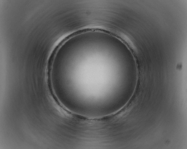 X0000093261076200709261726