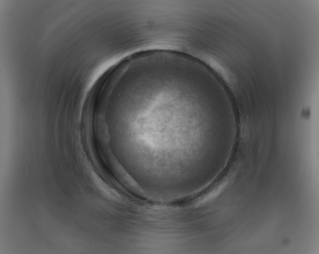 X0000093261077200709261726