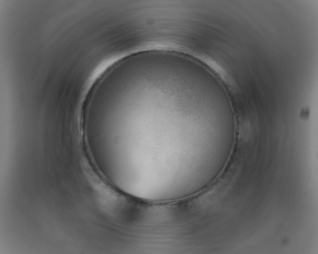 X0000093261078200709261726