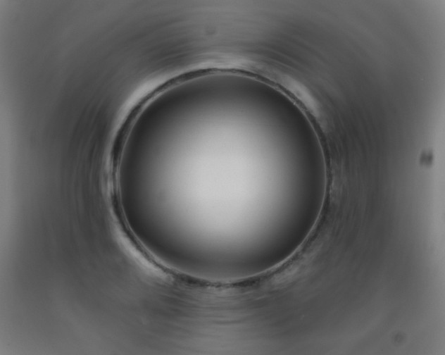 X0000093261080200709261726