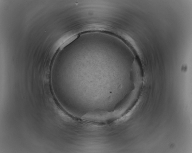 X0000093261081200709261726