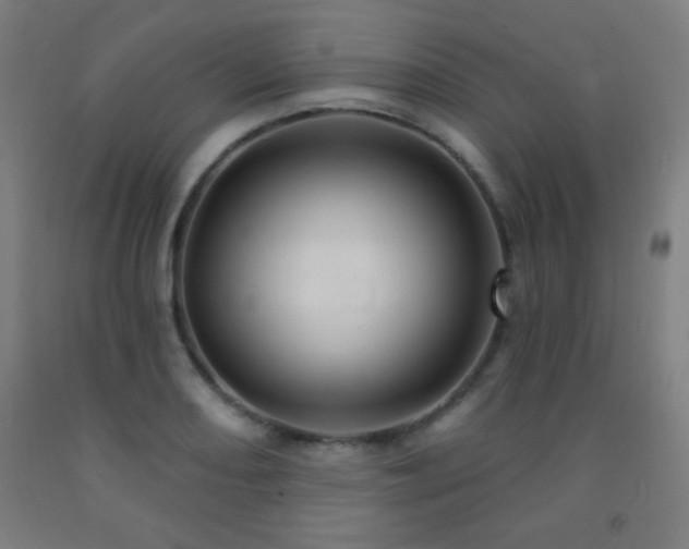 X0000093261082200709261726