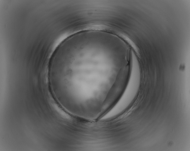 X0000093261083200709261726
