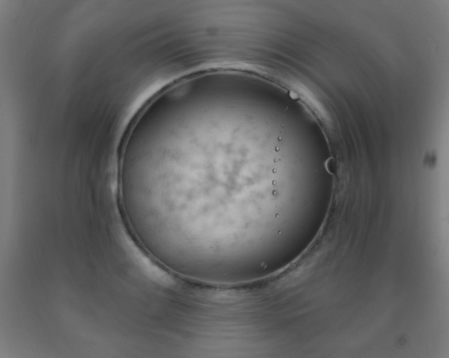 X0000093261084200709261726