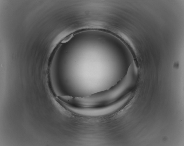 X0000093261085200709261726