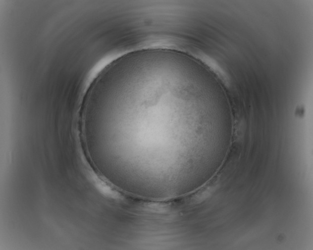 X0000093261086200709261726