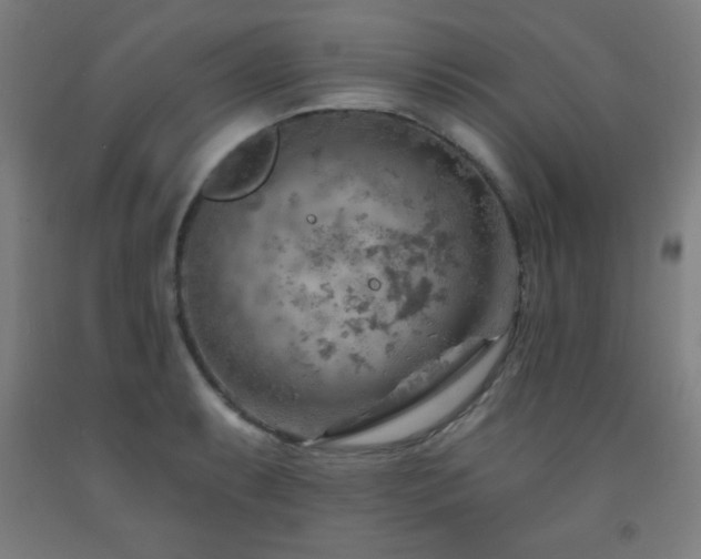 X0000093261087200709261726