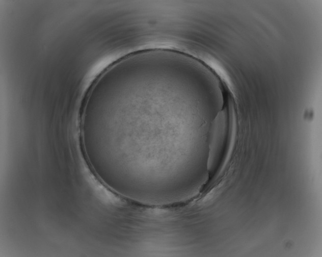 X0000093261088200709261726