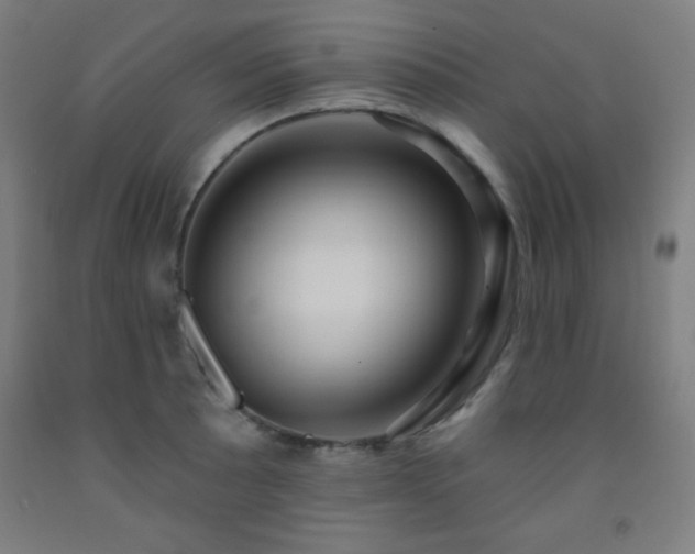 X0000093261089200709261726
