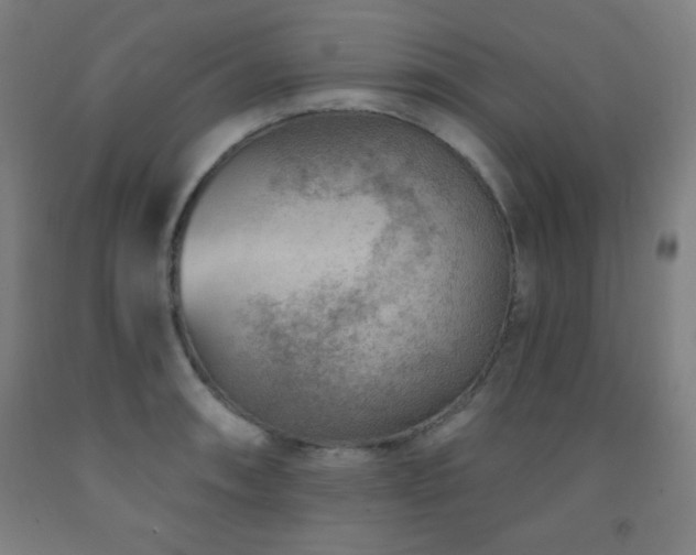 X0000093261090200709261726