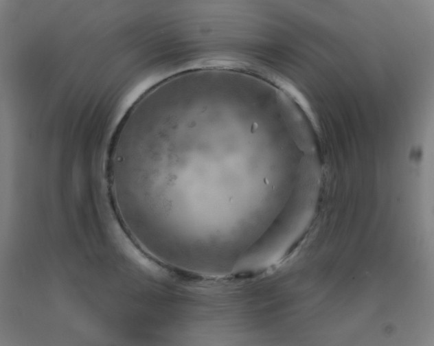X0000093261091200709261726