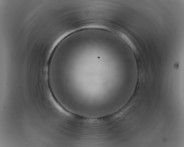 X0000093261092200709261726