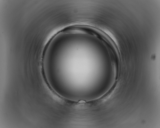 X0000093261093200709261726