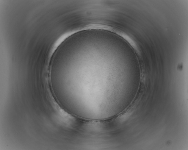 X0000093261094200709261726