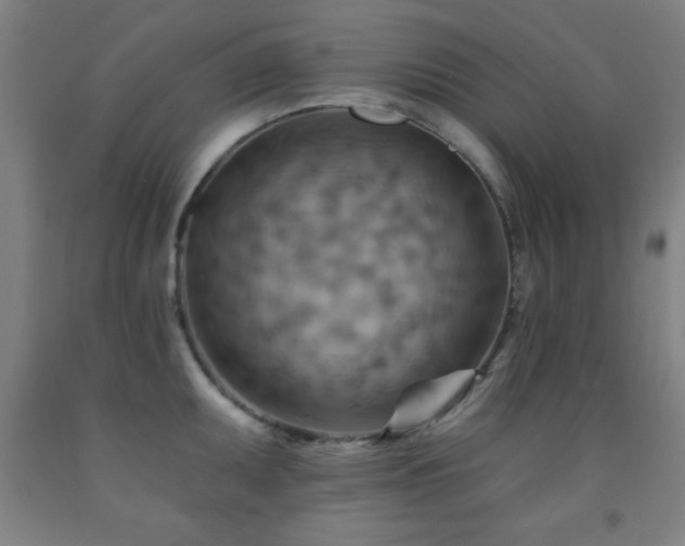 X0000093261095200709261726