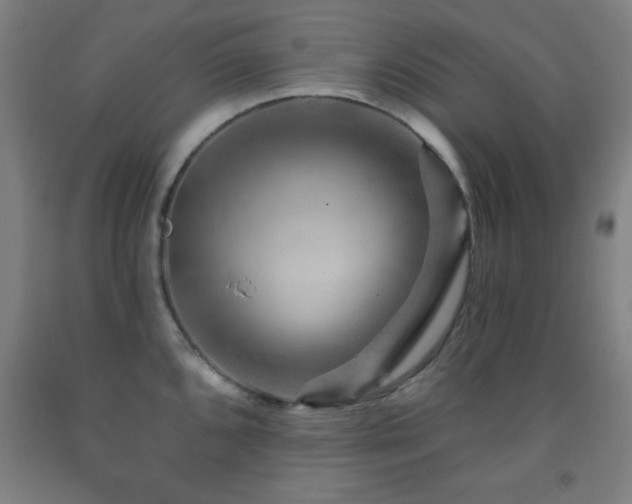 X0000093261096200709261726