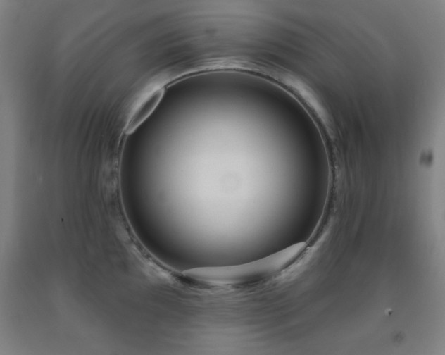 X0000093261097200709261726