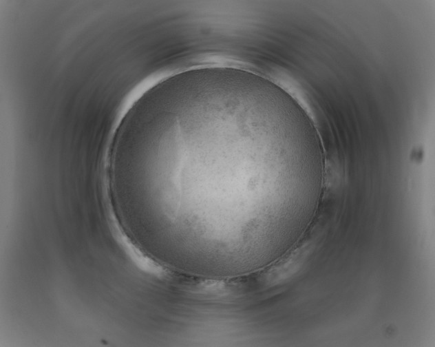 X0000093261098200709261726