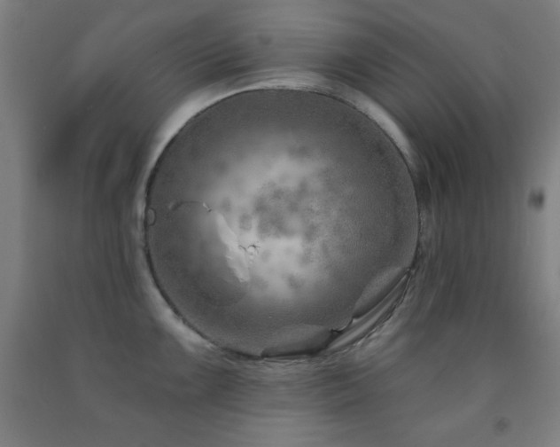 X0000093261099200709261726