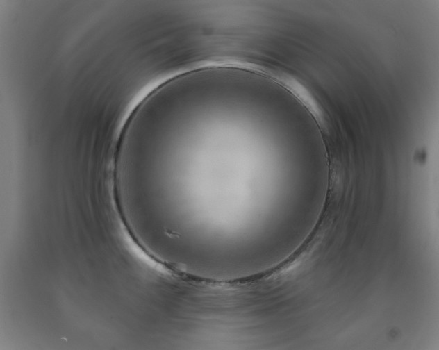 X0000093261100200709261726