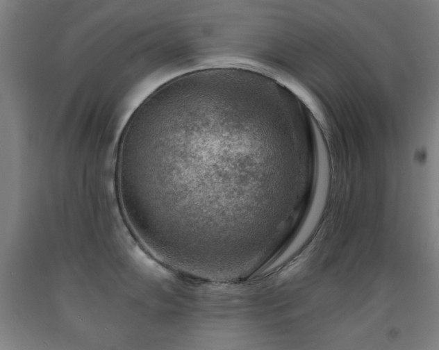X0000093261102200709261726