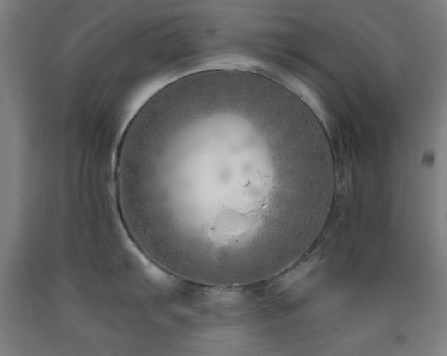 X0000093261103200709261726