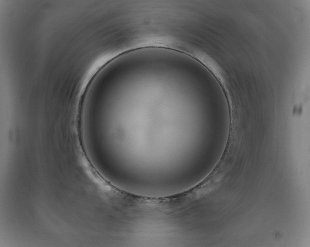 X0000093261104200709261726