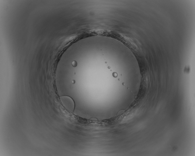 X0000093261105200709261725