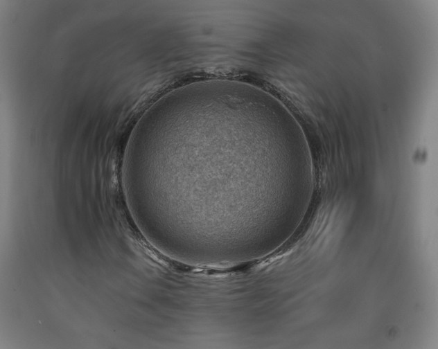 X0000093261106200709261725
