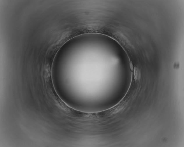 X0000093261107200709261725