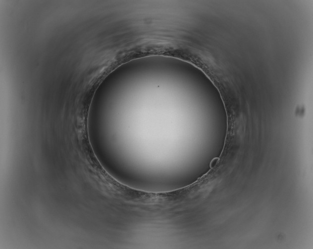 X0000093261109200709261725