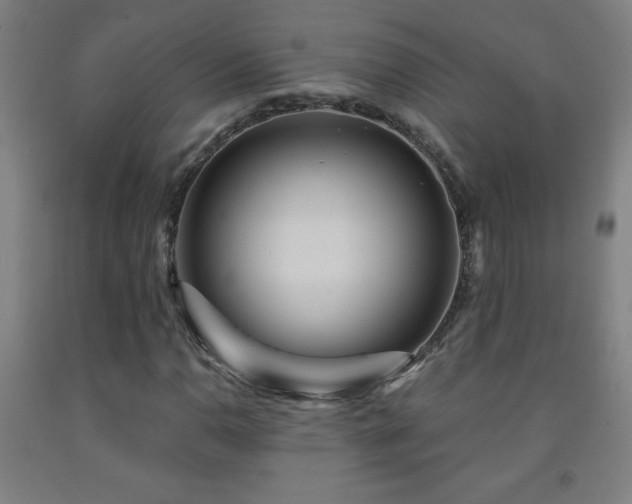 X0000093261110200709261726
