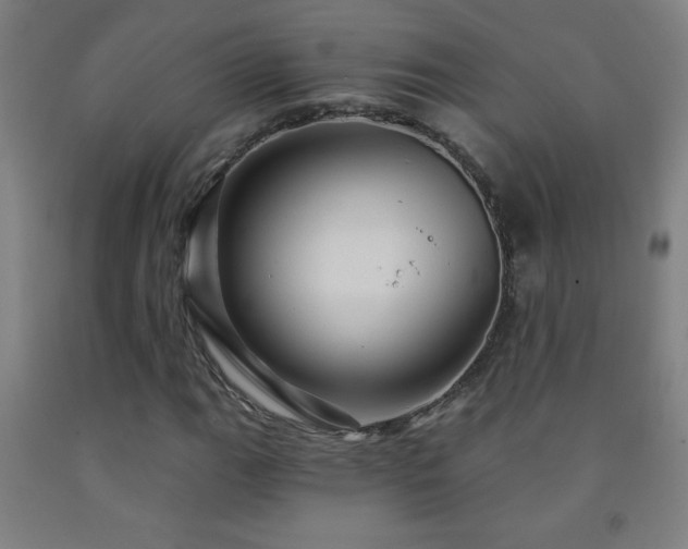 X0000093261111200709261726