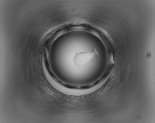 X0000093261112200709261726