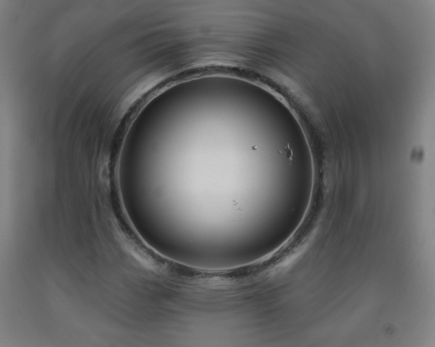 X0000093261113200709261726