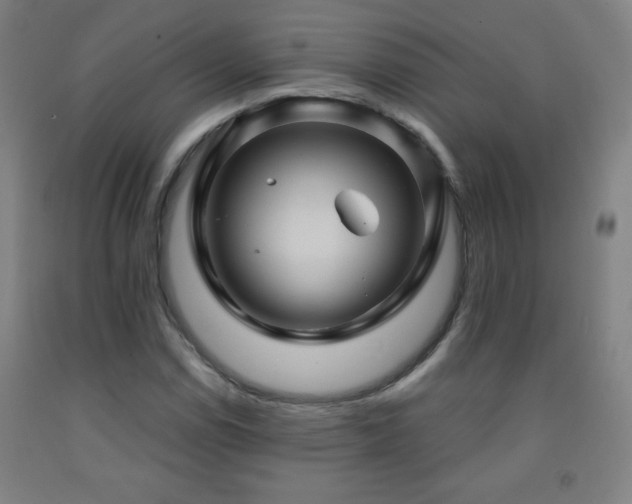 X0000093261114200709261726
