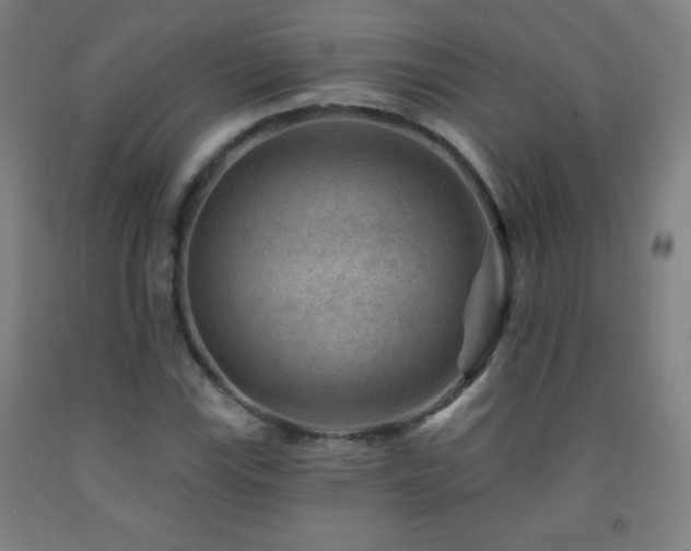 X0000093261115200709261726