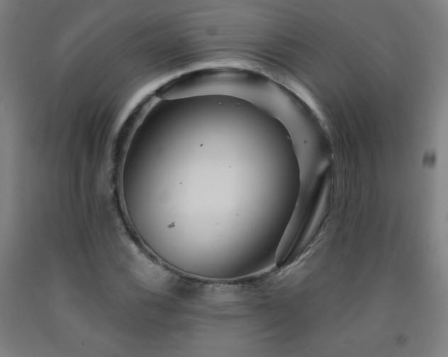 X0000093261116200709261726