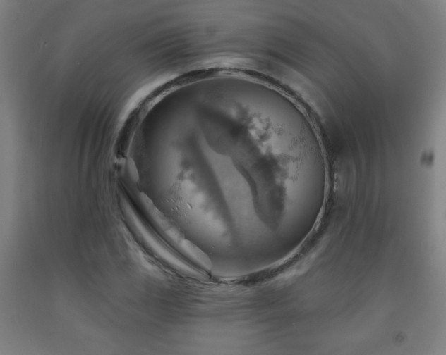 X0000093261117200709261726