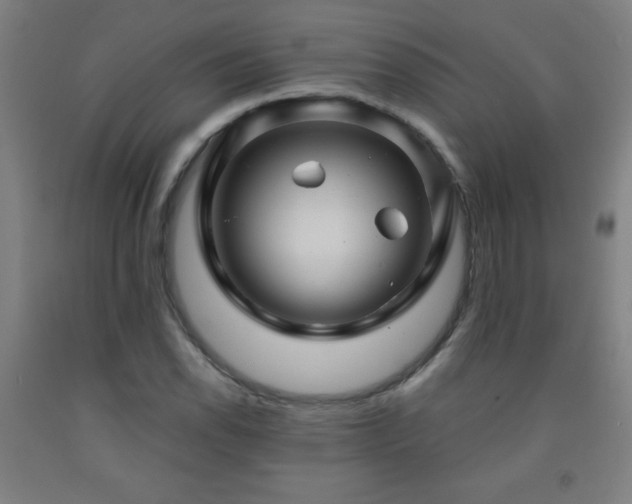 X0000093261118200709261726