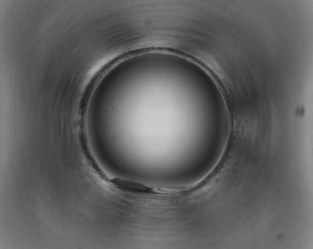 X0000093261119200709261726