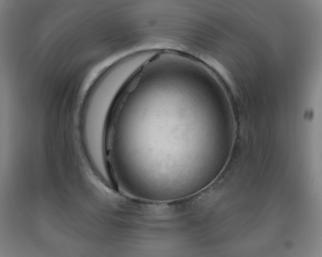X0000093261120200709261726