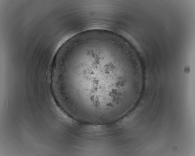 X0000093261121200709261726