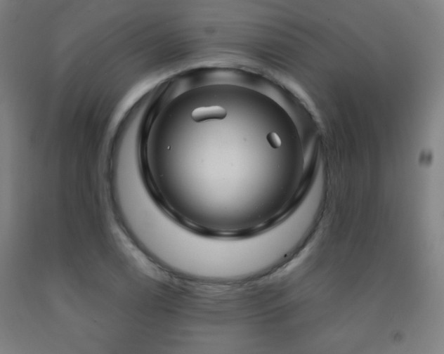 X0000093261122200709261726