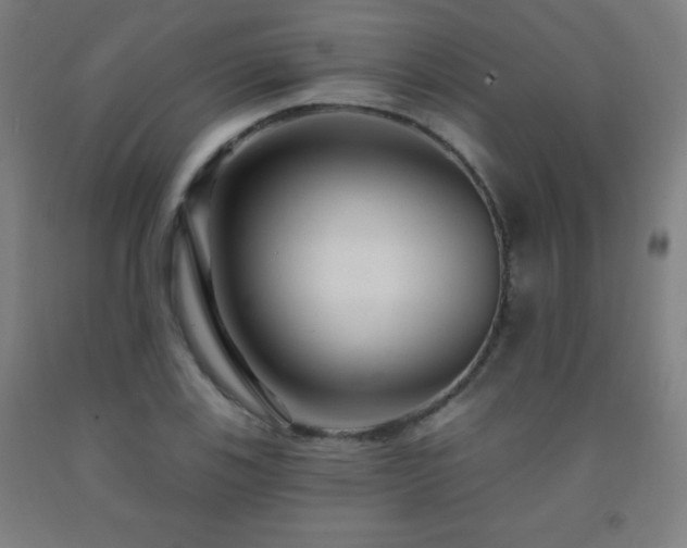 X0000093261123200709261726