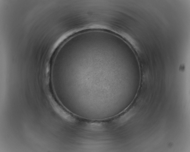 X0000093261126200709261726