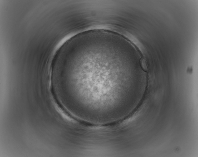 X0000093261127200709261726